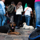 Calle_Clamor_Libertad_CDMX_DSC_0152