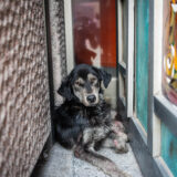 Calle_Clamor_Libertad_CDMX_DSC_0170