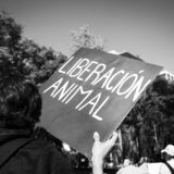 Clamor_De_Libertad_Activismo_CDMX_DSC_0074