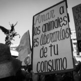 Clamor_De_Libertad_Activismo_CDMX_DSC_0318