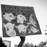 Clamor_De_Libertad_Activismo_CDMX_DSC_0352