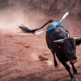 Clamor_De_Libertad_Nani_Tecamac_DSC_0130