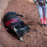 Clamor_De_Libertad_Nani_Tecamac_DSC_0177