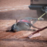 Clamor_De_Libertad_Nani_Tecamac_DSC_0183