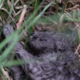 Sofía_Dumat_EDOMEX_DSC_0020