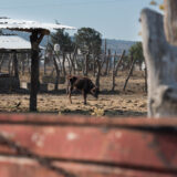 Tauromaquia_Clamor_De_Libertad_DSC_0060